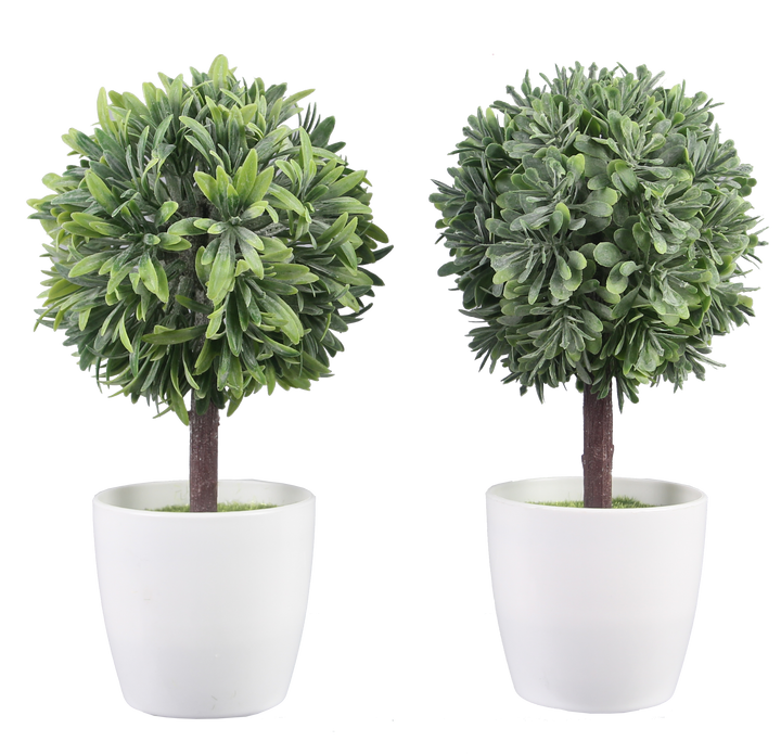 Artificial Topiary In White Planter, 2 Assorted
