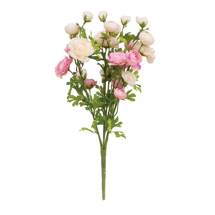 Pink & Cream Ranunculus Bush - 18