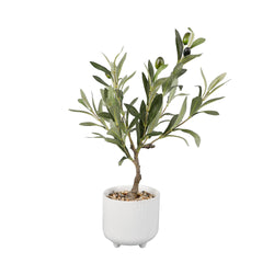 17" Artificial Olive Tree in Matte White Ceramic Footed Pot