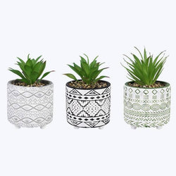 Cement Pot w/Greenery 3 Assorted