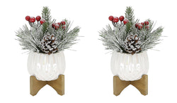 Xmas Mix in 4" Cupcake Ceramic  on Stand: White