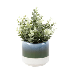 9.5"H Eucalyptus in 4.75" Ceramic Pot