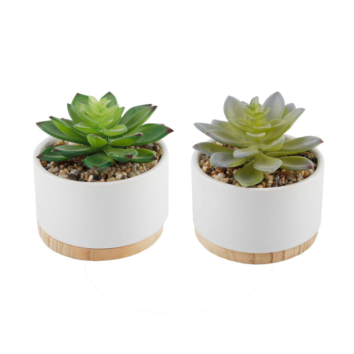maine succulents Flora Bunda CS1883E2-WH Set of 2 Succulent Mix in White Ceramic Wood Base