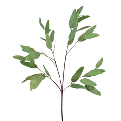 30” Laurel Leaf Eucalyptus Spray