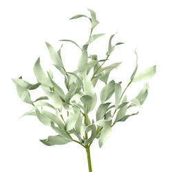 16” Salvia Leaf Pick EVA - Sage Green
