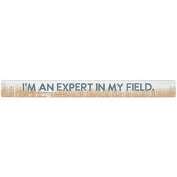 Expert In Field - Talking Sticks